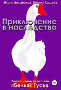 Книга "Приключение в наследство" (Кирилл Кащеев, Волынская Илона, 2013)