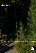 Уик-энд в заколдованном лесу (Лео Гор, 2022)