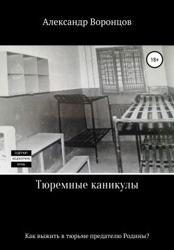 Книга "Тюремные каникулы" – Александр Воронцов, 2022
