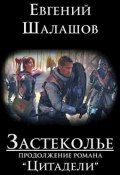Книга "Застеколье" (Евгений Шалашов, 2020)