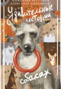 Удивительные истории о собаках / Сборник рассказов (Ирина Шлапак, Александр Цыпкин, и ещё 23 автора, 2024)