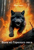 Волк из Горелого леса (Юрий Филин, 2024)