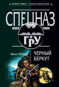 Книга "Черный беркут" (Михаил Нестеров, 2003)