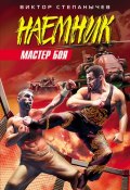 Книга "Мастер боя" (Виктор Степанычев, 2006)