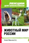 Животный мир России ()