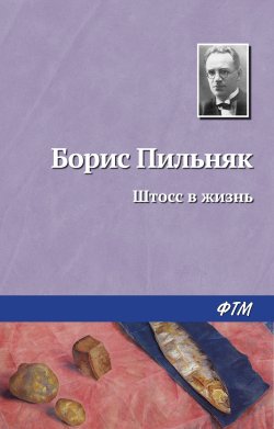 Книга "Штосс в жизнь" – Борис Пильняк, 1928