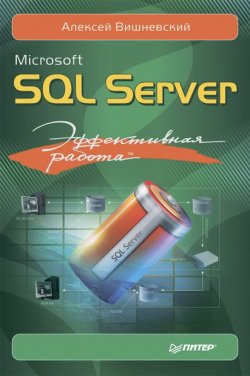 Книга "Microsoft SQL Server. Эффективная работа" – Алексей Вишневский, 2009