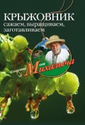 Книга "Крыжовник. Сажаем, выращиваем, заготавливаем" (Николай Звонарев, 2010)
