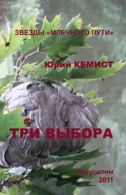 Книга "Три выбора" – Юрий Кемист, 2011