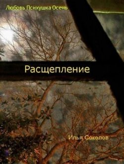 Книга "Расщепление" – Илья Соколов, 2012