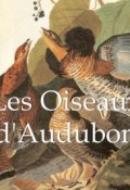 Les Oiseaux d\'Audubon (John James Audubon)