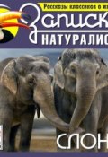 Книга "Рассказы классиков о животных. Слоны" ()