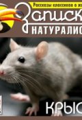 Книга "Рассказы классиков о животных. Крысы" ()