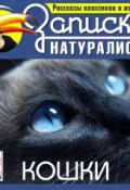 Рассказы классиков о животных. Кошки ()