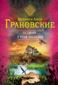 Книга "Особняк у реки забвения" (Евгения Грановская, Антон Грановский, 2009)