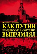 Книга "Как Путин ельцинскую загогулину выпрямлял" (Николай Зенькович, 2017)