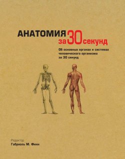 Книга "Анатомия за 30 секунд" {За 30 секунд} – , 2012