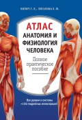 Книга "Атлас: анатомия и физиология человека. Полное практическое пособие" (Г. Л. Билич, Габриэль Билич, Елена Зигалова, 2017)