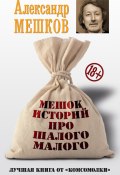 Мешок историй про шалого малого (Александр Мешков, 2015)