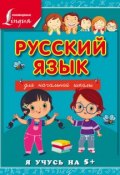 Книга "Русский язык для начальной школы" (С. А. Матвеев, 2015)