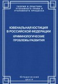 Ювенальная юстиция в Российской Федерации. Криминологические проблемы развития (Коллектив авторов, 2006)