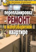 Перепланировка и ремонт в малогабаритной квартире (Илья Соколов, 2010)