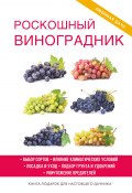 Роскошный виноградник (Екатерина Животовская, 2017)