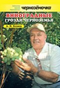 Виноградные грозди Черноземья (Анатолий Безяев, 2013)