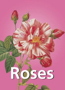 Книга "Roses" {Mega Square} – Pierre-Joseph Redoute, Thory Claude Antoine
