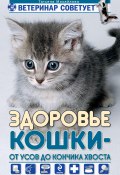 Здоровье кошки от усов до кончика хвоста (Татьяна Михайлова, 2010)