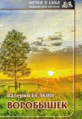 Книга "Воробышек" (Валерий Белкин, 2016)