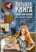 Большая книга приключений для ловких и смелых (сборник) (Кирилл Кащеев, Волынская Илона, 2016)