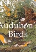 Книга "Audubon's Birds" (John James Audubon)