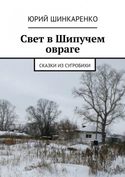 Книга "Свет в Шипучем овраге. Сказки из Сугробихи" – Юрий Шинкаренко