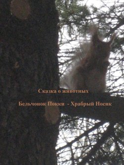 Книга "Бельчонок Покки. Храбрый носик" – Нина Лукина, 2017