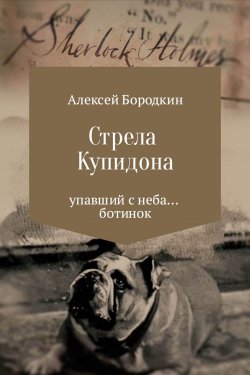 Книга "Стрела Купидона" – Алексей Бородкин, 2017