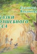 Сказки Волшебного леса (Екатерина Болдинова, 2017)