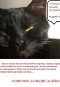 Принцесса, сыщик и черный кот (Андрей Бинев)