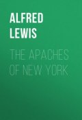 The Apaches of New York (Alfred Lewis)