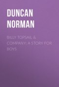 Billy Topsail & Company: A Story for Boys (Norman Duncan)