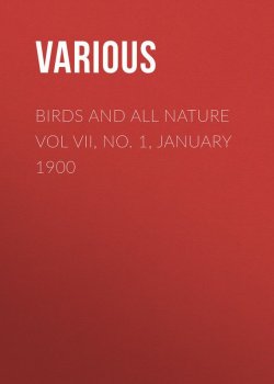 Книга "Birds and All Nature Vol VII, No. 1, January 1900" – Various
