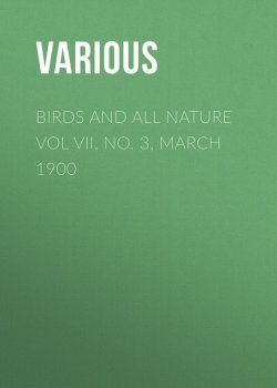 Книга "Birds and all Nature Vol VII, No. 3, March 1900" – Various