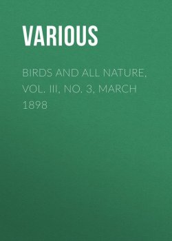 Книга "Birds and All Nature, Vol. III, No. 3, March 1898" – Various