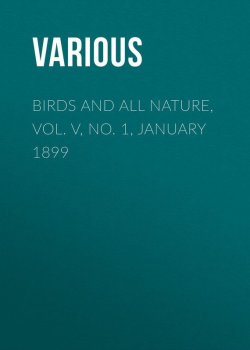 Книга "Birds and all Nature, Vol. V, No. 1, January 1899" – Various