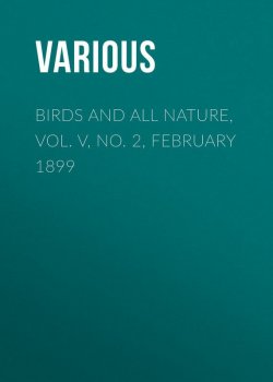 Книга "Birds and all Nature, Vol. V, No. 2, February 1899" – Various
