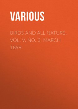 Книга "Birds and All Nature, Vol. V, No. 3, March 1899" – Various