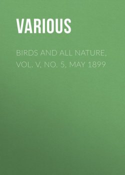 Книга "Birds and all Nature, Vol. V, No. 5, May 1899" – Various