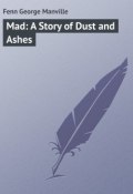 Mad: A Story of Dust and Ashes (George Fenn)