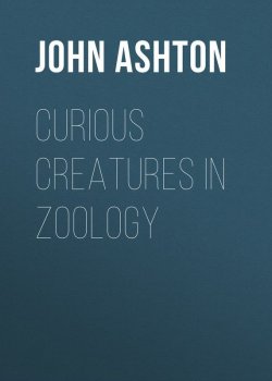 Книга "Curious Creatures in Zoology" – John Ashton