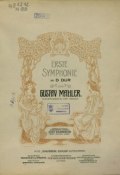 Erste symphonie in D-dur ()